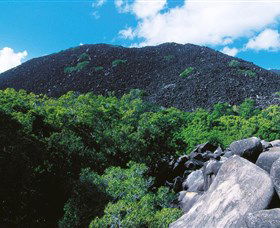 Black Mountain (Kalkajaka) National Park - Accommodation BNB 0