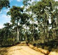 Paddys Ranges State Park - Accommodation BNB