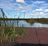 Gwydir Wetlands - Accommodation BNB