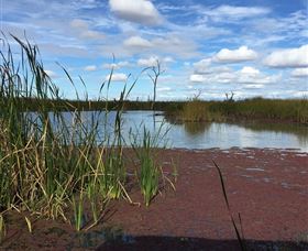 Gwydir Wetlands - Accommodation BNB 0