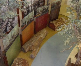 Barmah Forest Heritage And Education Centre - Accommodation BNB 4