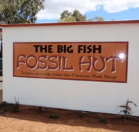 Big Fish Fossil Hut at Peak Hill - Accommodation BNB