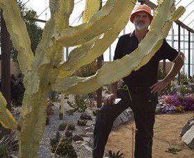Cactus Country - Accommodation BNB 0