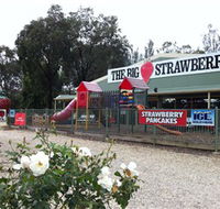 The Big Strawberry - Accommodation BNB