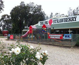 The Big Strawberry - Accommodation BNB 0