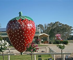 The Big Strawberry - Accommodation BNB 2