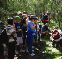 Warrumbungle National Park Discovery Program - Accommodation BNB