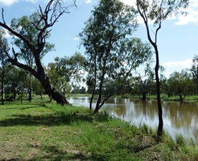 Seplin Estate Wines - Accommodation BNB 1