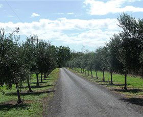 Seplin Estate Wines - Accommodation BNB 3