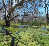 Macquarie Valley Trails - Accommodation BNB