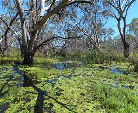 Macquarie Valley Trails - Accommodation BNB 0