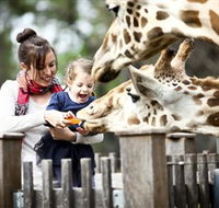 Taronga Western Plains Zoo Dubbo - Accommodation BNB