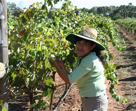 Domaine Asmara - Accommodation BNB 6