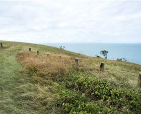 Cape Palmerston National Park - Accommodation BNB 3