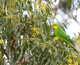 Savernake Day Tours - Accommodation BNB 3