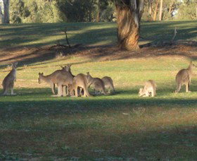 Savernake Day Tours - Accommodation BNB 4