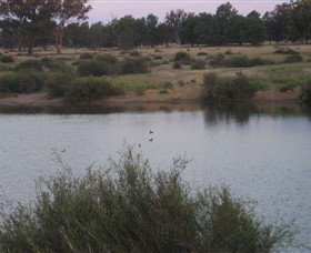 Savernake Day Tours - Accommodation BNB 7