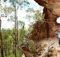 Pilliga National Park - Accommodation BNB