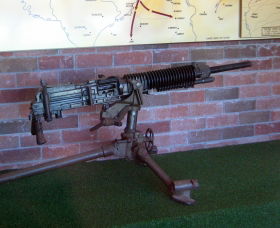 Woodpecker Gun - Accommodation BNB 0