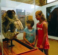 Australian Museum Diprotodon Exhibition - Accommodation BNB