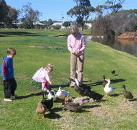 Roy Little Park Merredin - Accommodation BNB