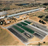 Co-operative Bulk Handling CBH Wheat Storage and Transfer Depot - Accommodation BNB