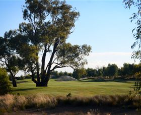 Black Bull Golf Club - Accommodation BNB 2