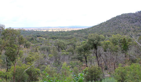 Ben Hall's Cave Walking Track - Accommodation BNB 0