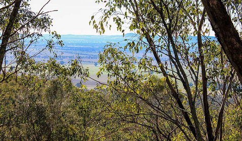 Eualdrie Walking Track - Accommodation BNB 2
