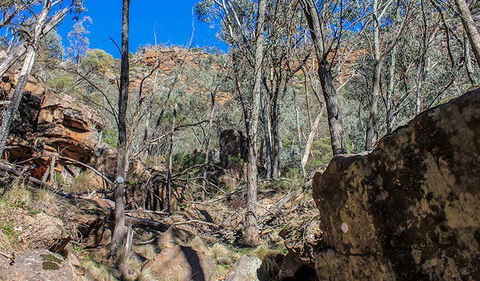 Eualdrie Walking Track - Accommodation BNB 3