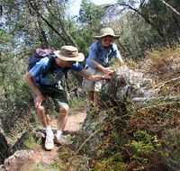 Mount Arthur Reserve - Accommodation BNB