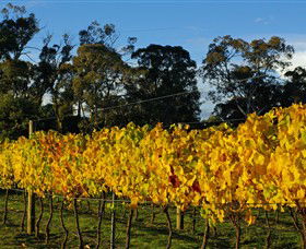 Paramoor Winery - Accommodation BNB 3