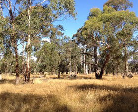 Paramoor Winery - Accommodation BNB 4
