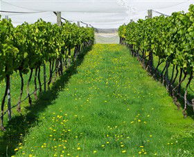Paramoor Winery - Accommodation BNB 6