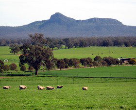 The Rock Nature Reserve - Accommodation BNB 0
