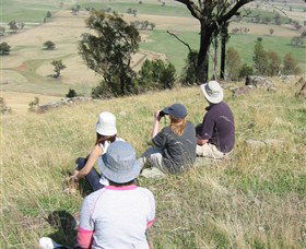 The Rock Nature Reserve - Accommodation BNB 2