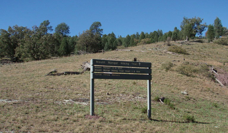 Eugowra NSW Accommodation BNB