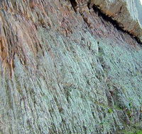 The Rock Nature Reserve - Kengal Aboriginal Place - Accommodation BNB