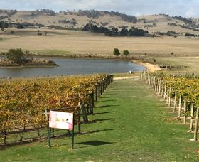 Grange Cleveland Winery - Accommodation BNB 1