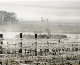 Grange Cleveland Winery - Accommodation BNB 7
