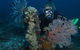 Two Towers Dive Site - thumb 3