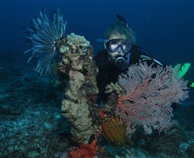 Two Towers Dive Site - Accommodation BNB 3