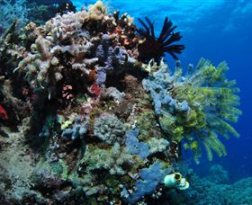 Two Towers Dive Site - Accommodation BNB 2