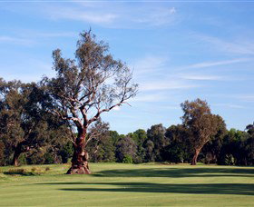 Corowa Golf Club - Accommodation BNB 5