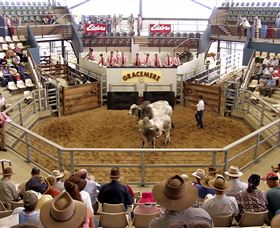 Gracemere Exhibition Complex - Accommodation BNB 1