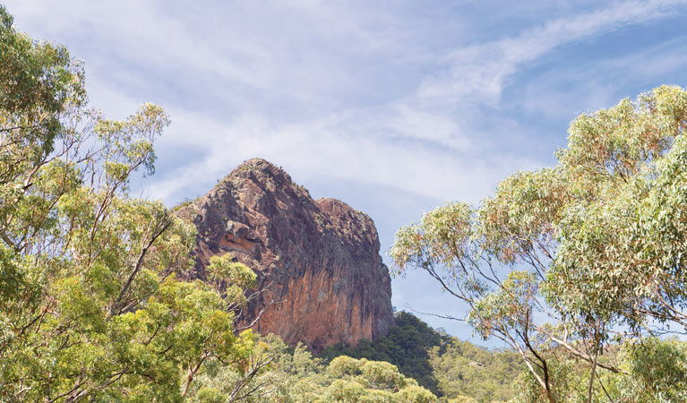 Bullawa Creek NSW Accommodation BNB
