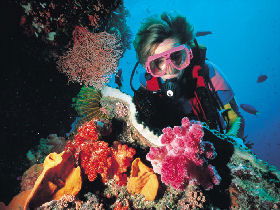 Great Barrier Reef - Whitsundays - Accommodation BNB 1