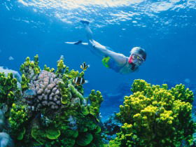 Great Barrier Reef - Whitsundays - Accommodation BNB 3