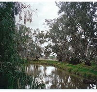 Henty Government Dam Nature Reserve - Accommodation BNB