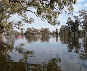 Henty Government Dam Nature Reserve - Accommodation BNB 1